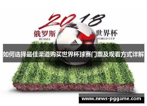 如何选择最佳渠道购买世界杯球赛门票及观看方式详解