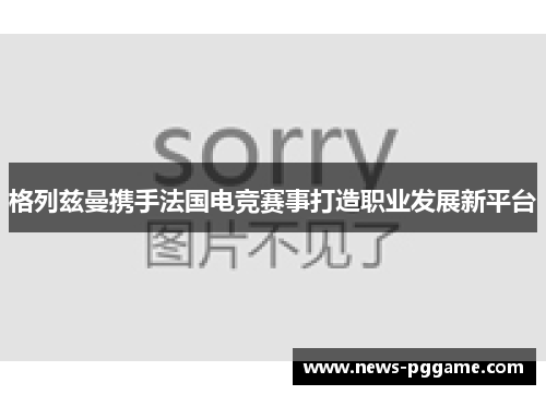 格列兹曼携手法国电竞赛事打造职业发展新平台