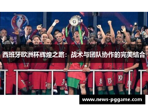西班牙欧洲杯辉煌之路：战术与团队协作的完美结合