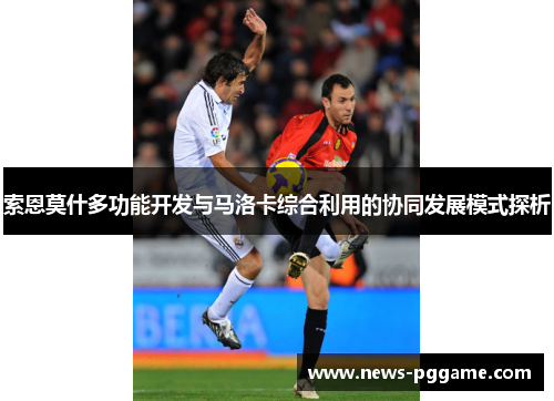 索恩莫什多功能开发与马洛卡综合利用的协同发展模式探析