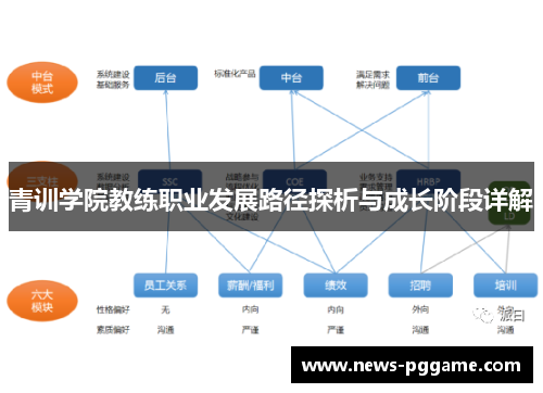 青训学院教练职业发展路径探析与成长阶段详解