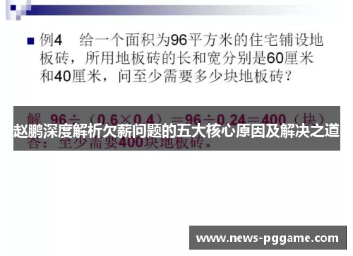 赵鹏深度解析欠薪问题的五大核心原因及解决之道